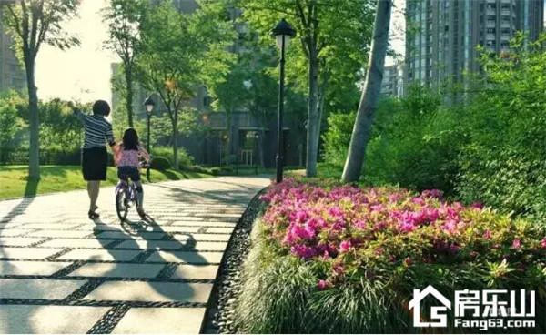 071637117227c7be597055.jpg QQ截图20171207162723.jpg