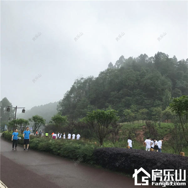 微信图片_20180421164840.jpg