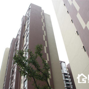 枫蓝国际2期实景图