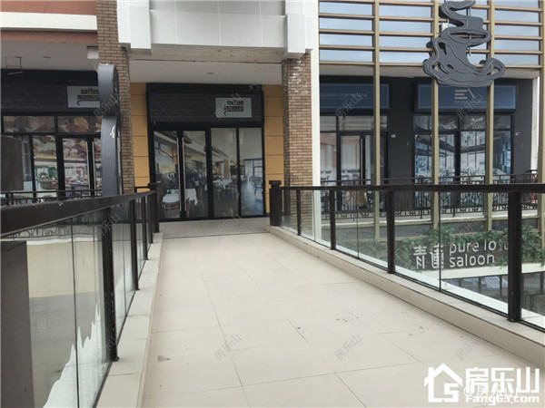 乐山万达海棠里·金街实景图