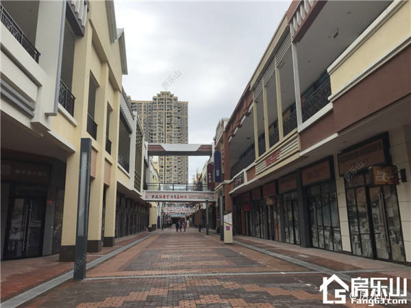 乐山万达海棠里·金街实景图