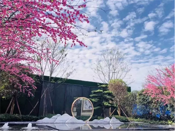 微信截图_20180701091816.png
