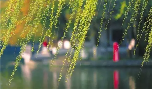 27091609fe8eb064b18951.png 微信截图_20180727090824.png