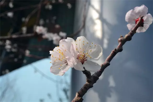 270916310969ea39c86048.png 微信截图_20180727090846.png