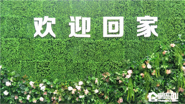 30153110af8c8e5db35848.jpg 微信图片_20180730152356.jpg