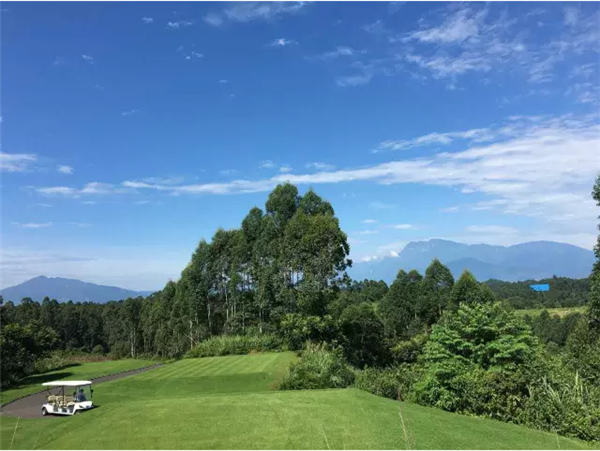 051556338af0ba3a838141.png 微信截图_20180805155050.png