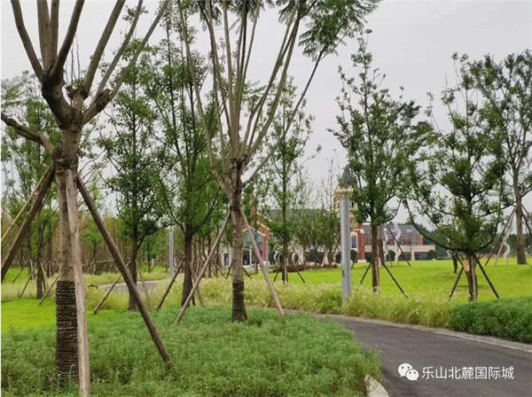 1314142612bb63ebef8702.jpg QQ截图20180913140716.jpg