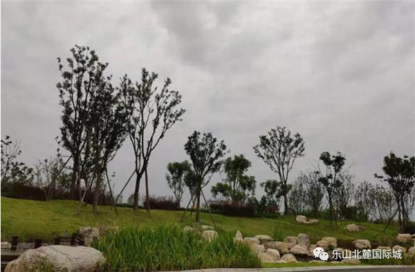 1314144682d42c75913658.jpg QQ截图20180913140741.jpg