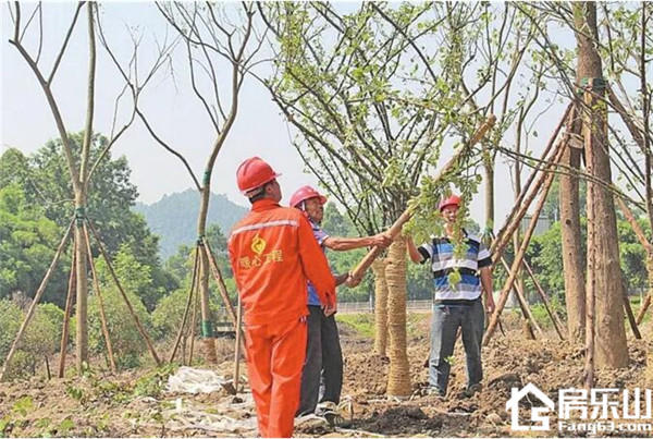 QQ截图20180918093240.jpg