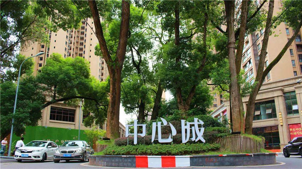 同时由于中心城天然的空间占位优势, 使其毗邻乐山最美湿地公园竹公