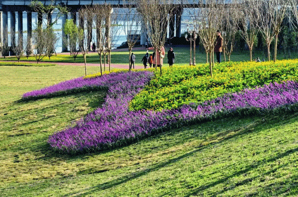 0510573445e25aaa9a2331.gif 640(3)_缁撴灉.gif