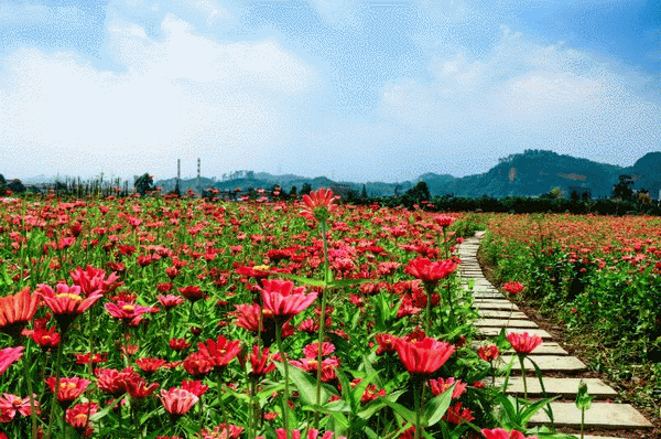 05105830c38180f42f9845.gif 640(7)_缁撴灉.gif