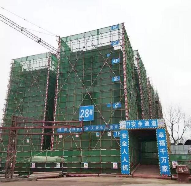 QQ截图20181229100449.jpg