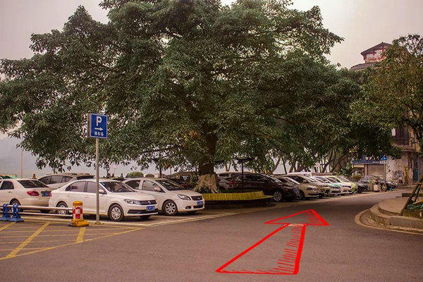 271754450135e730f67918.jpg 640(4)_缁撴灉.jpg