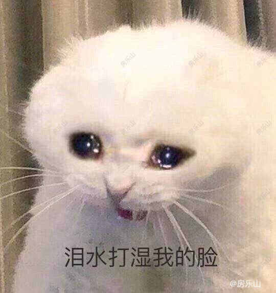 27xghiiqlk2gbothc63w5ewub.jpg