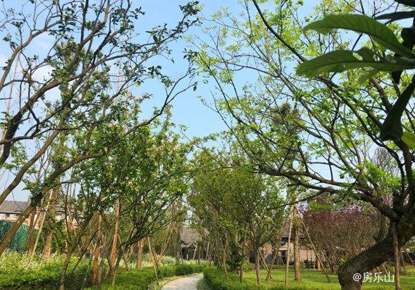 微信图片_20190327171250.jpg