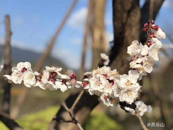 微信图片_20190327171254.jpg