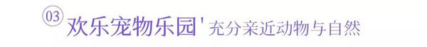 微信图片_20190821204417.jpg