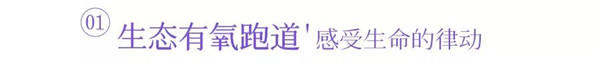微信图片_20190821204524.jpg