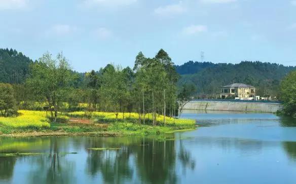 九宾湿地:遇鉴四季,悦享一生倾心之景