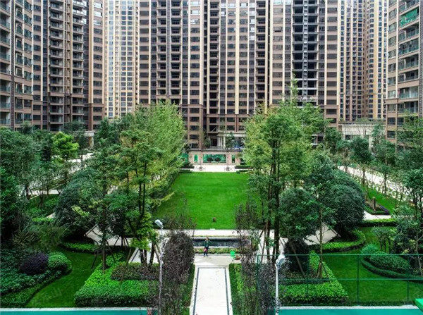 翡翠国际五期实拍图