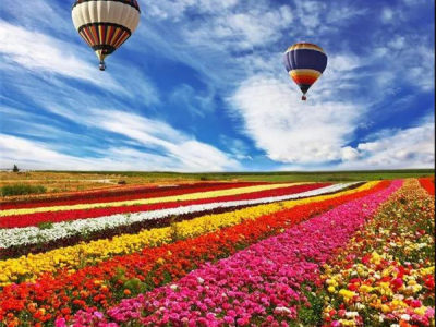 恒大峨眉山国际度假区|这才是度假的真正意义