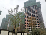 邦泰大渡河府滨河湾实景图