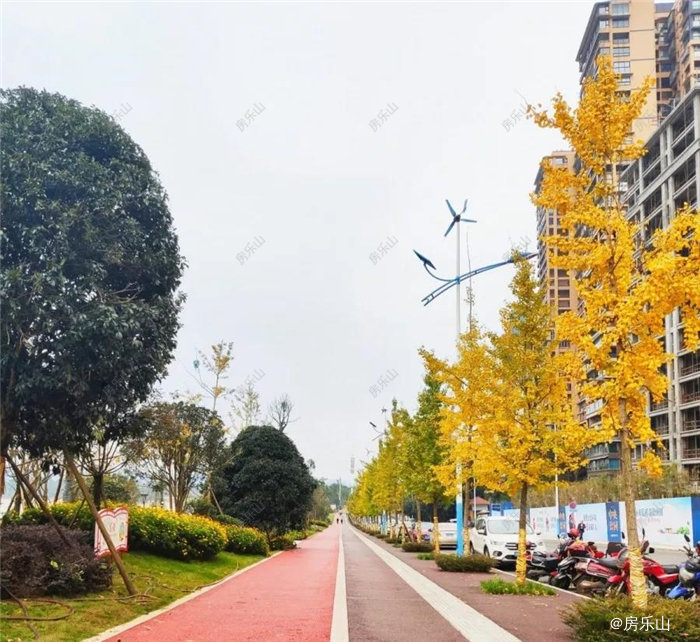 寰?俊鍥剧墖_20191230101602_鍓?湰.jpg
