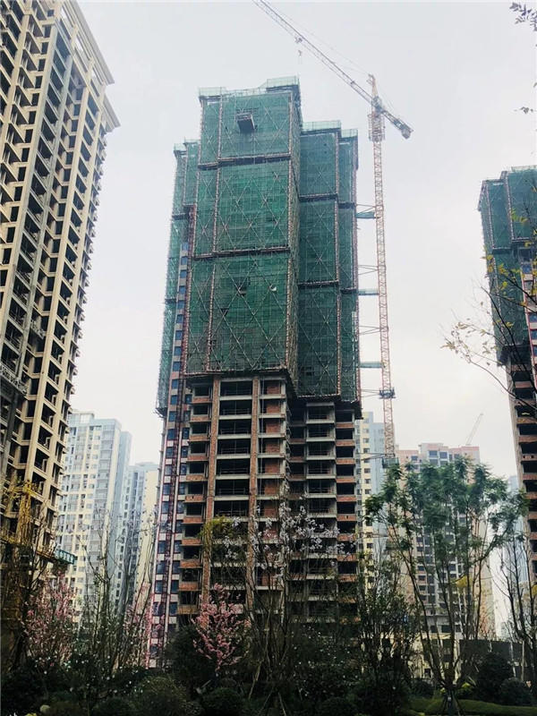 08162231cce0de2fef1843.jpg 寰?俊鍥剧墖_20200108105142.jpg