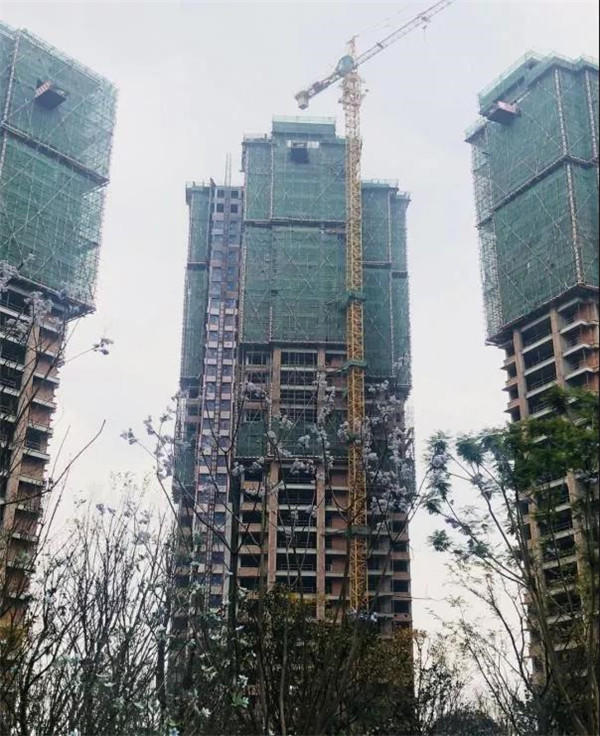 08162304eb5d6dce9d9486.jpg 寰?俊鍥剧墖_20200108105148.jpg