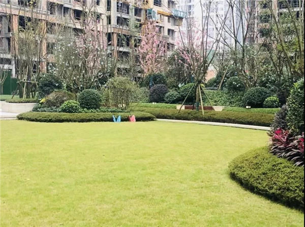 08162411d7834218376335.jpg 寰?俊鍥剧墖_20200108105211.jpg