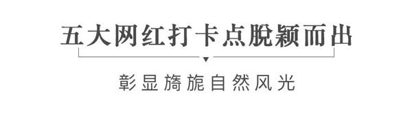 微信图片_20200111172136_副本.jpg