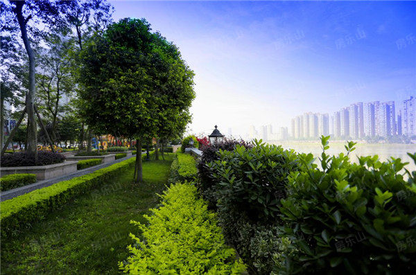 楼盘快报-乐山房地产信息网-乐山房产网