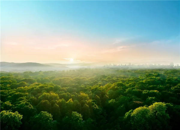 九滨湿地意境图.jpg