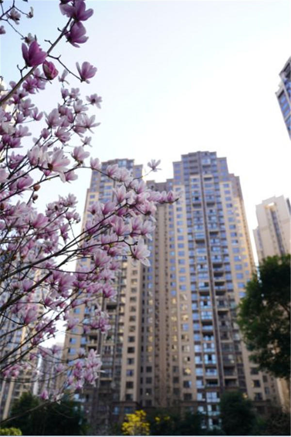 翡翠实拍 翡翠实拍