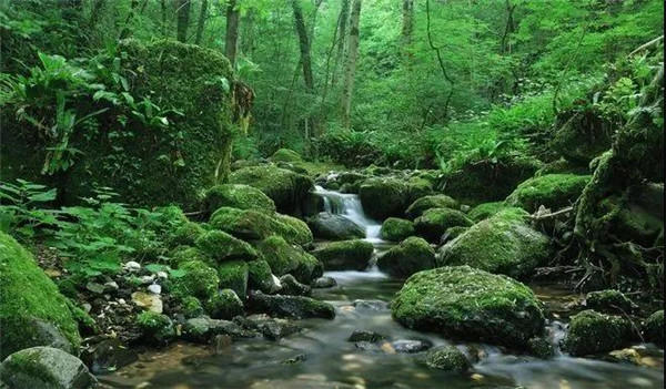 信和洲山道效果图