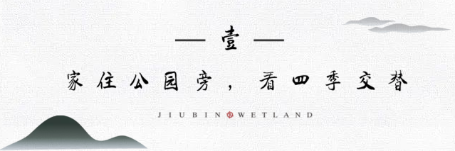 九宾湿地 九宾湿地