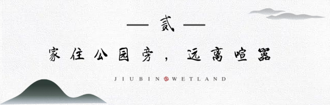 九宾湿地 九宾湿地
