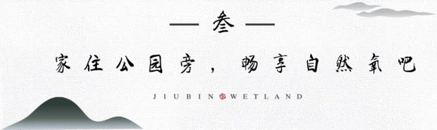 九宾湿地 九宾湿地