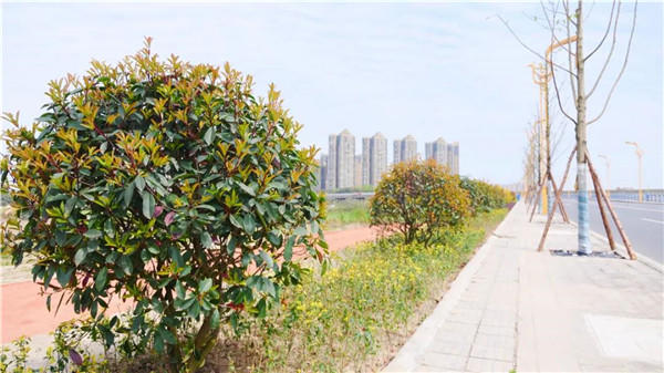 乐沙生态大道生态苗圃项目段