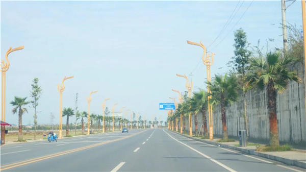 美丽的乐沙生态大道