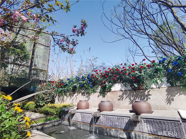 园林实景图