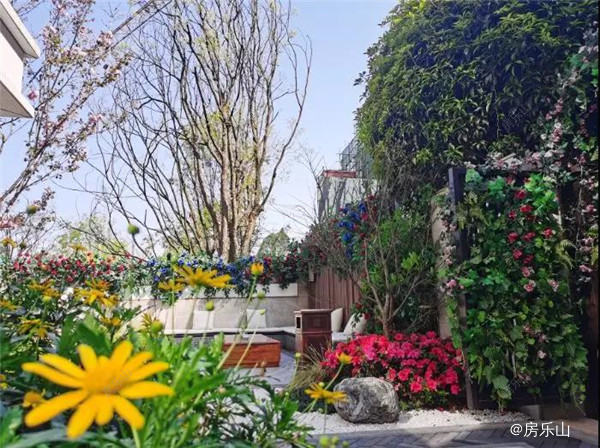 实景图