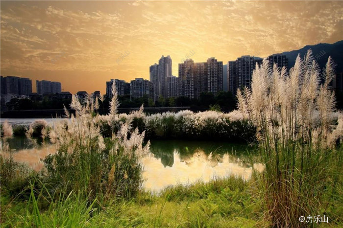 大渡河湿地公园