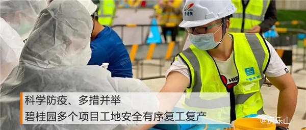 碧桂园周刊