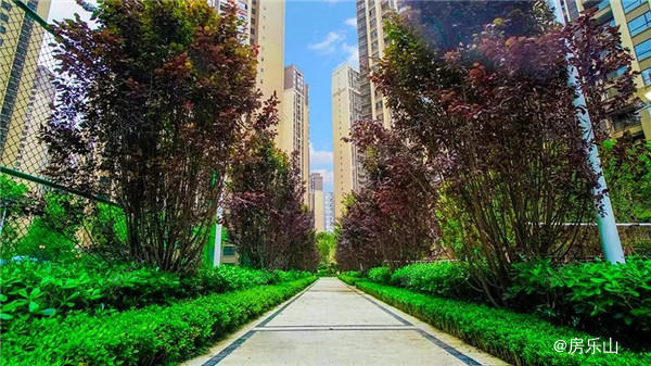 翡翠国际5期