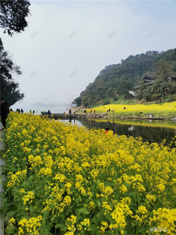 风景大赛实拍