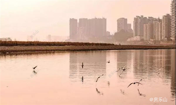 乐山风景实拍