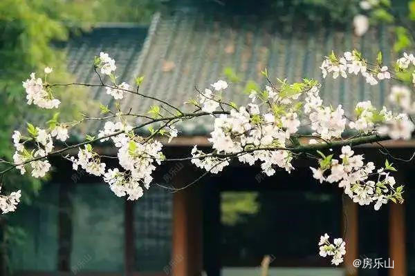 示意图