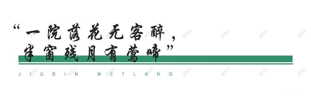 微信图片_20200408164157.jpg